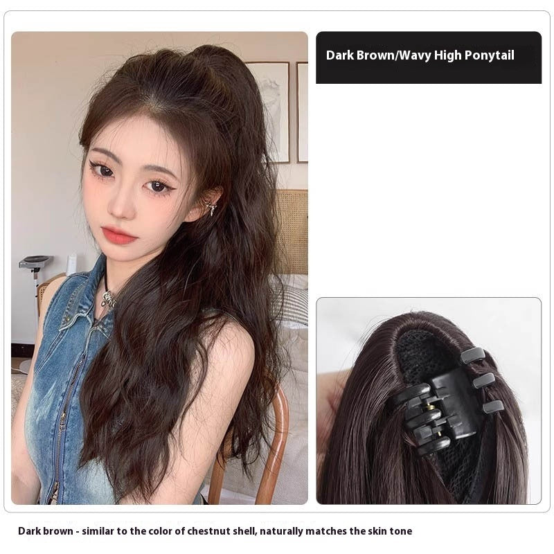 High Ponytail Long Wavy Hair Wig