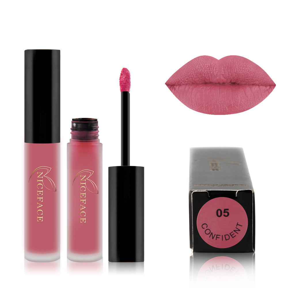 Matte Texture Lip Gloss