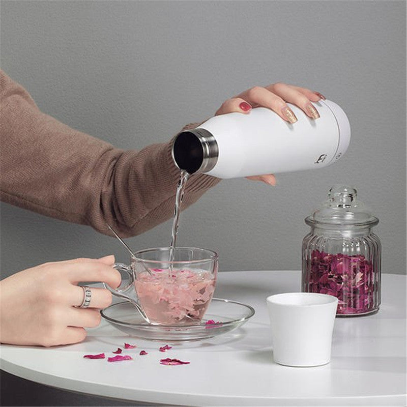 Portable kettle