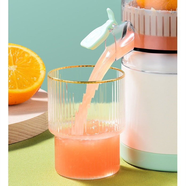 Portable Fresh Fruit Juicer