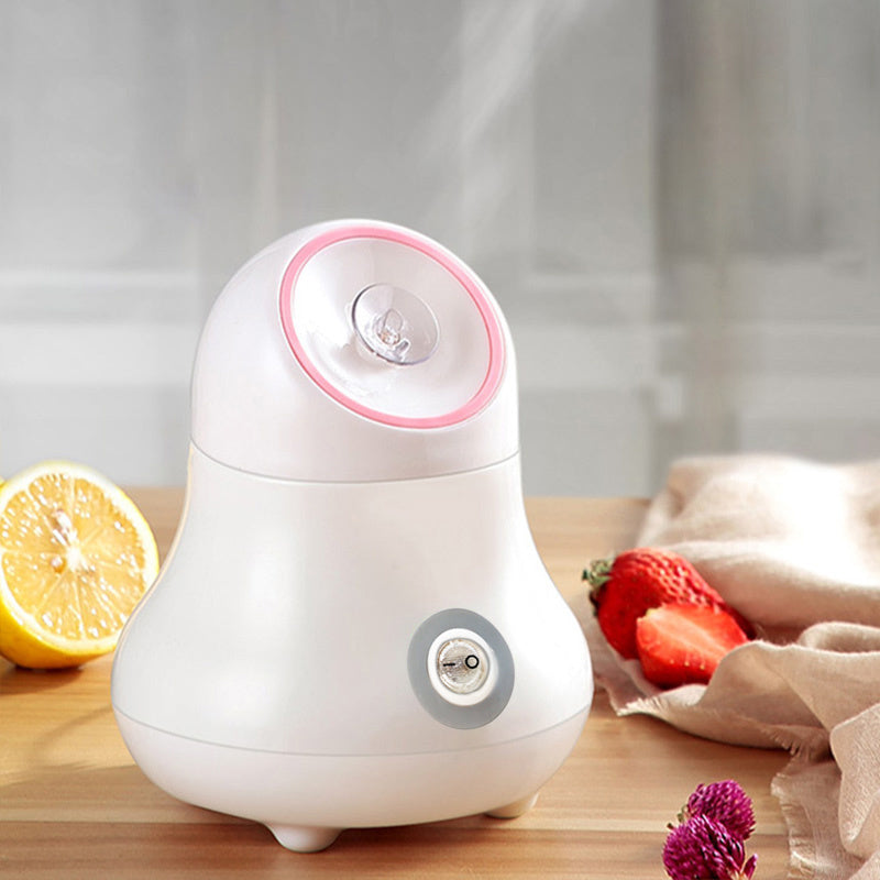 Hot spray water steamer