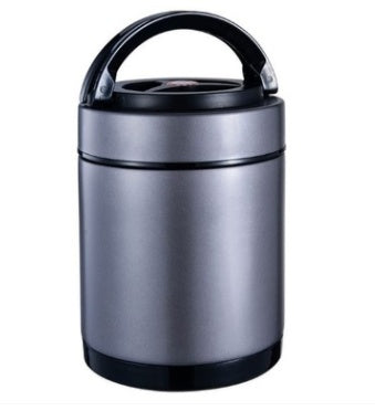 Vacuum insulation portable lunch box