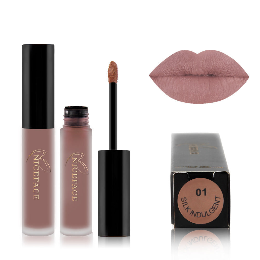 Matte Texture Lip Gloss