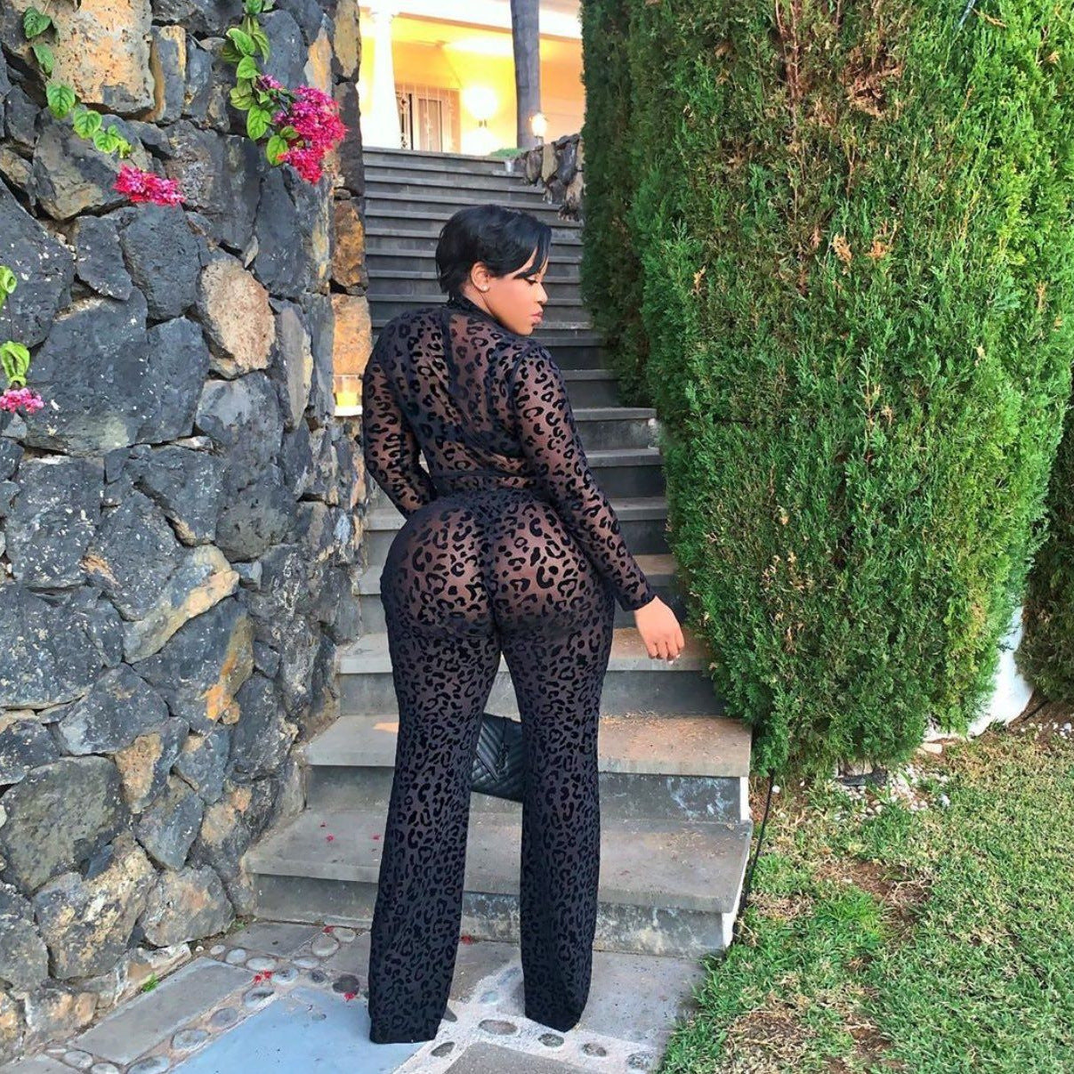 Sheer Mesh Leopard Print Jumpsuit