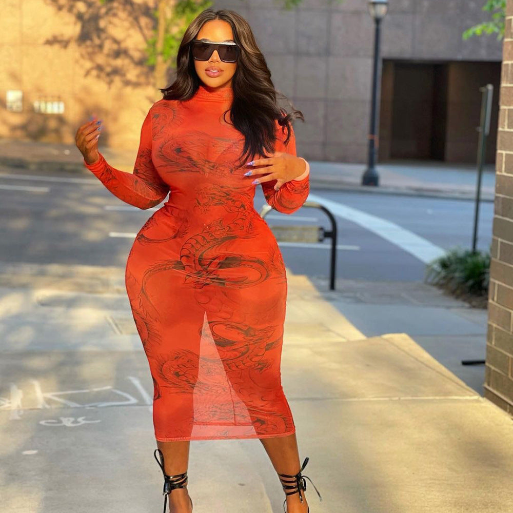 Women's Skinny Mesh Print Sheer Long Sleeve Dress