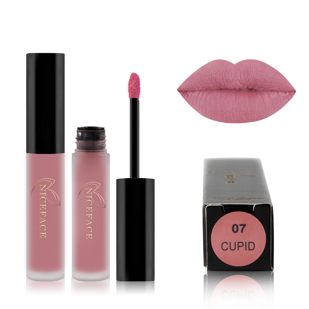 Matte Texture Lip Gloss