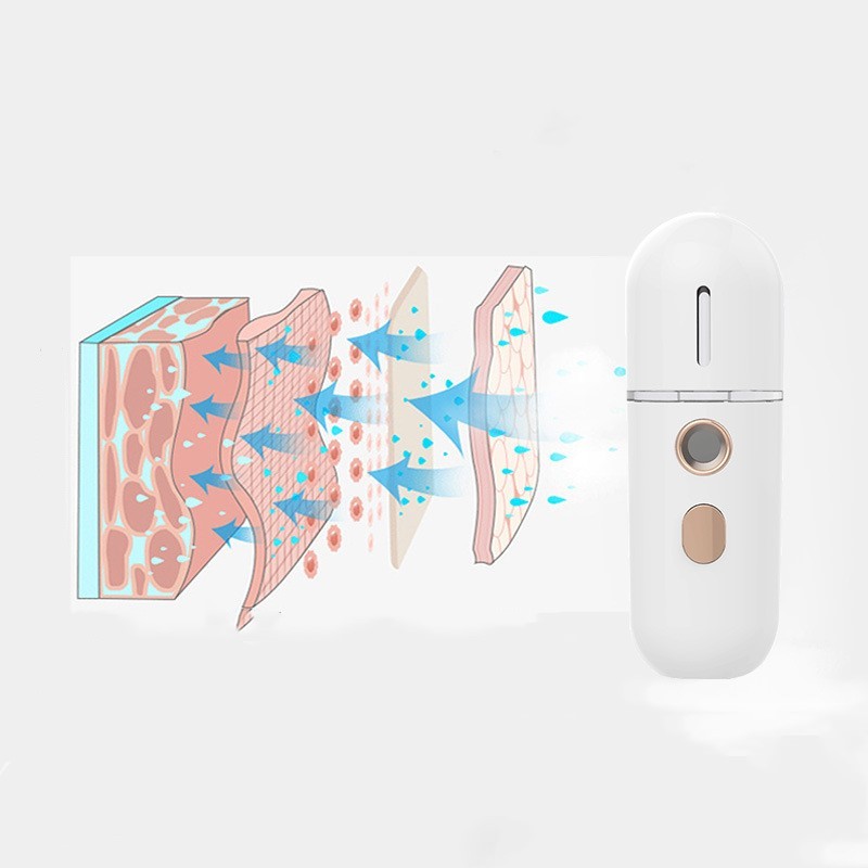 Mini steamer facial moisturizer