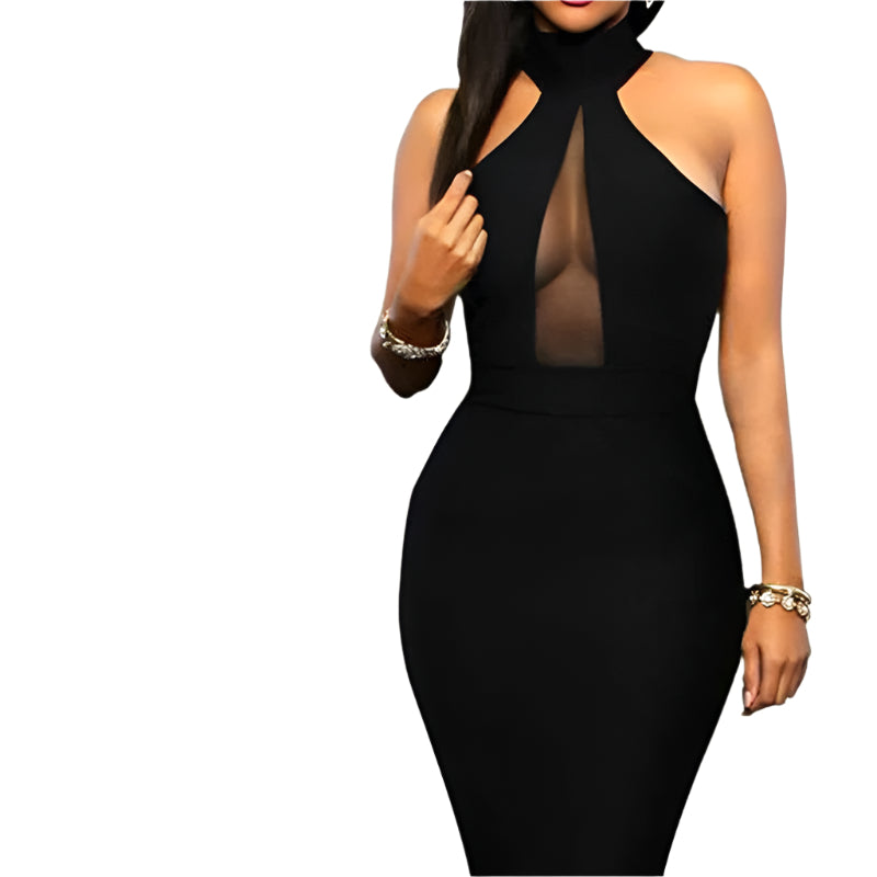 Sheer-Front Bodycon Dress