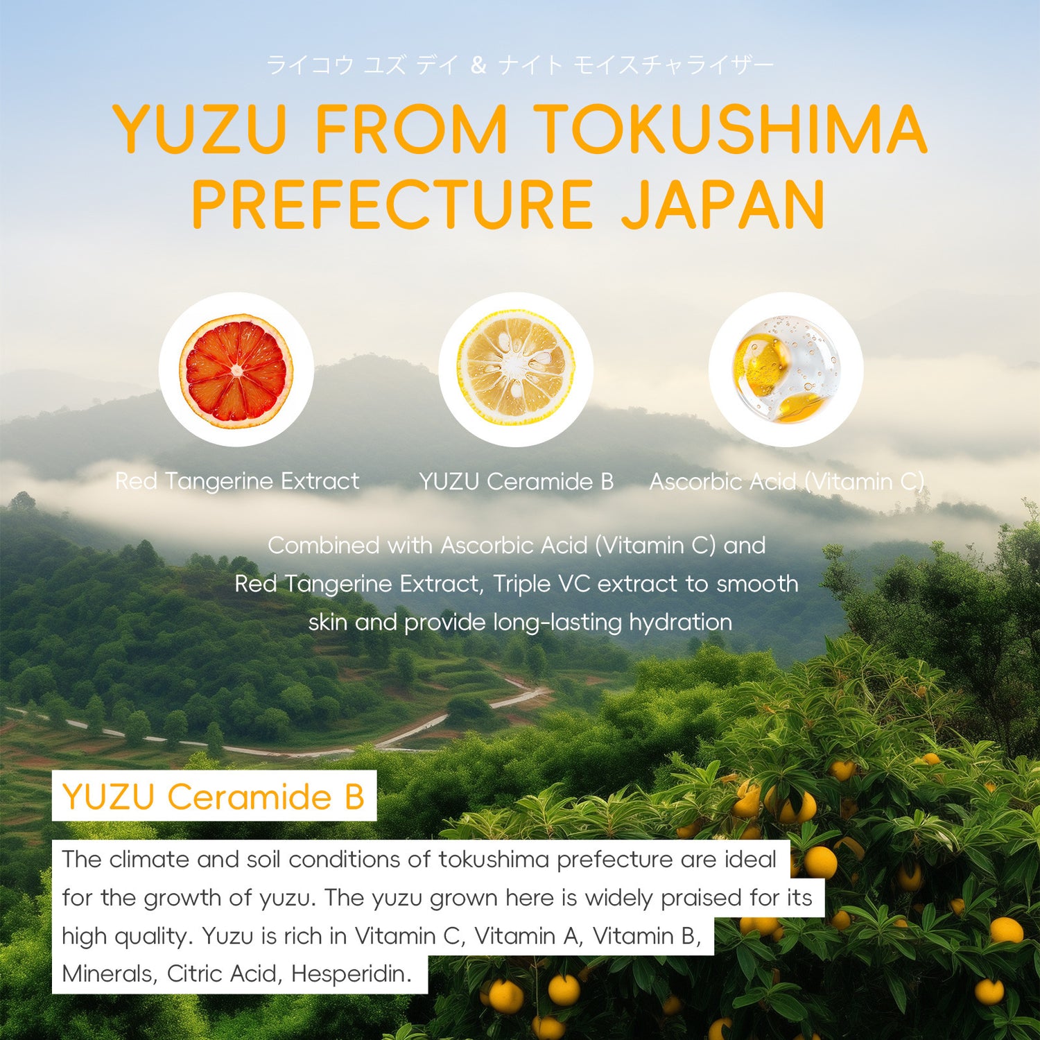 Grapefruit Eye Cream 15g Hydrating