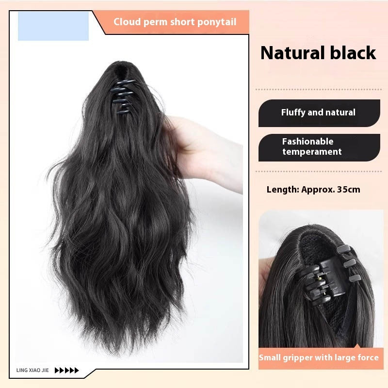 High Ponytail Long Wavy Hair Wig