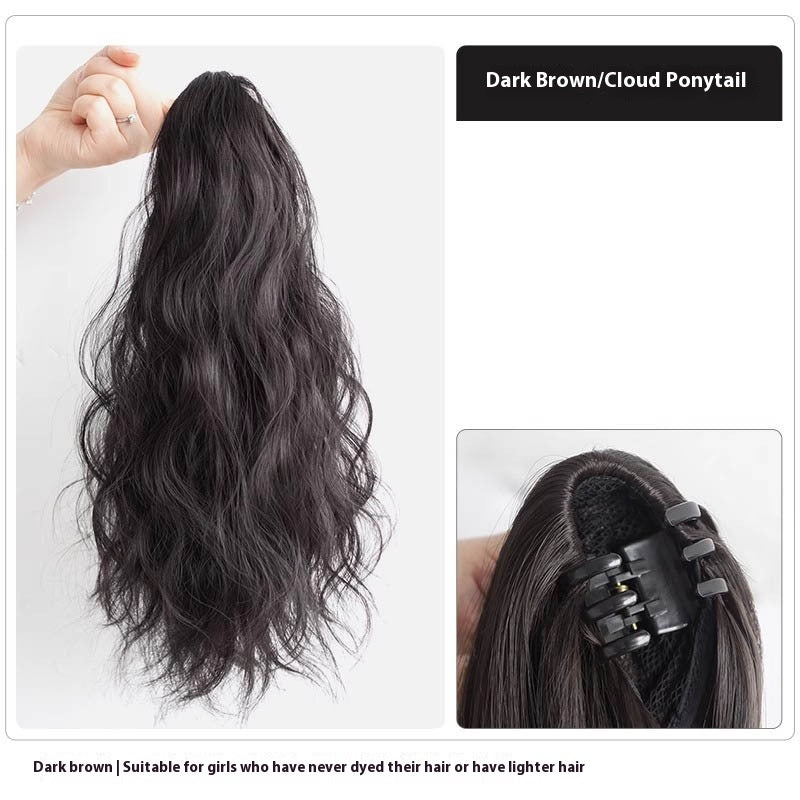 High Ponytail Long Wavy Hair Wig