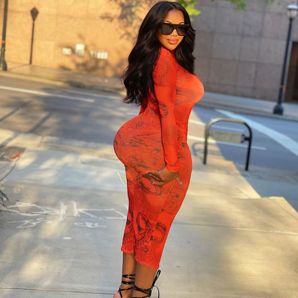 Women's Skinny Mesh Print Sheer Long Sleeve Dress