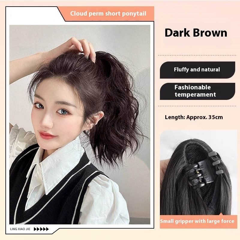 High Ponytail Long Wavy Hair Wig
