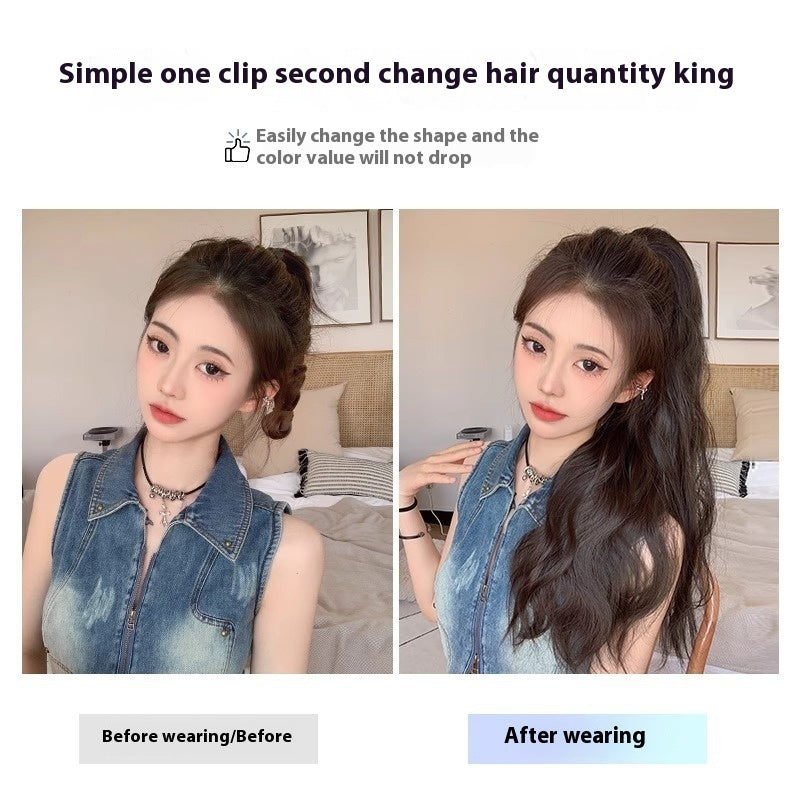 High Ponytail Long Wavy Hair Wig