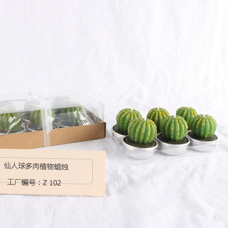 Succulent Cactus Candle Aromatherapy