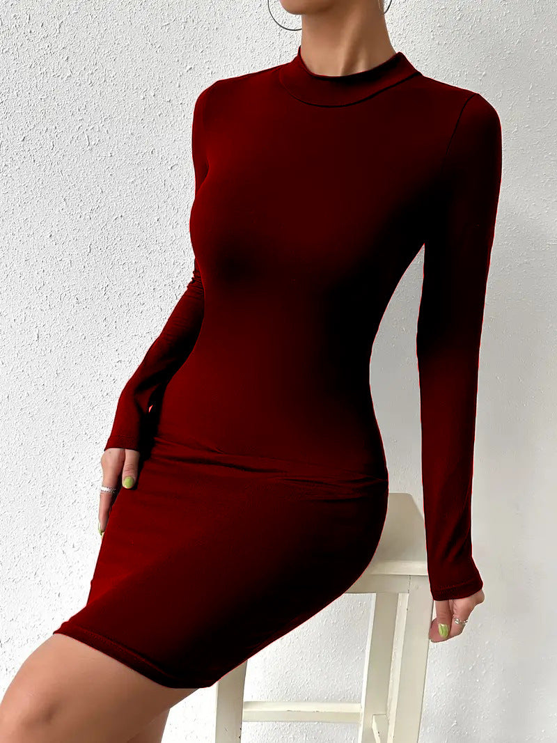 Solid Color Fashion Turtleneck Dress