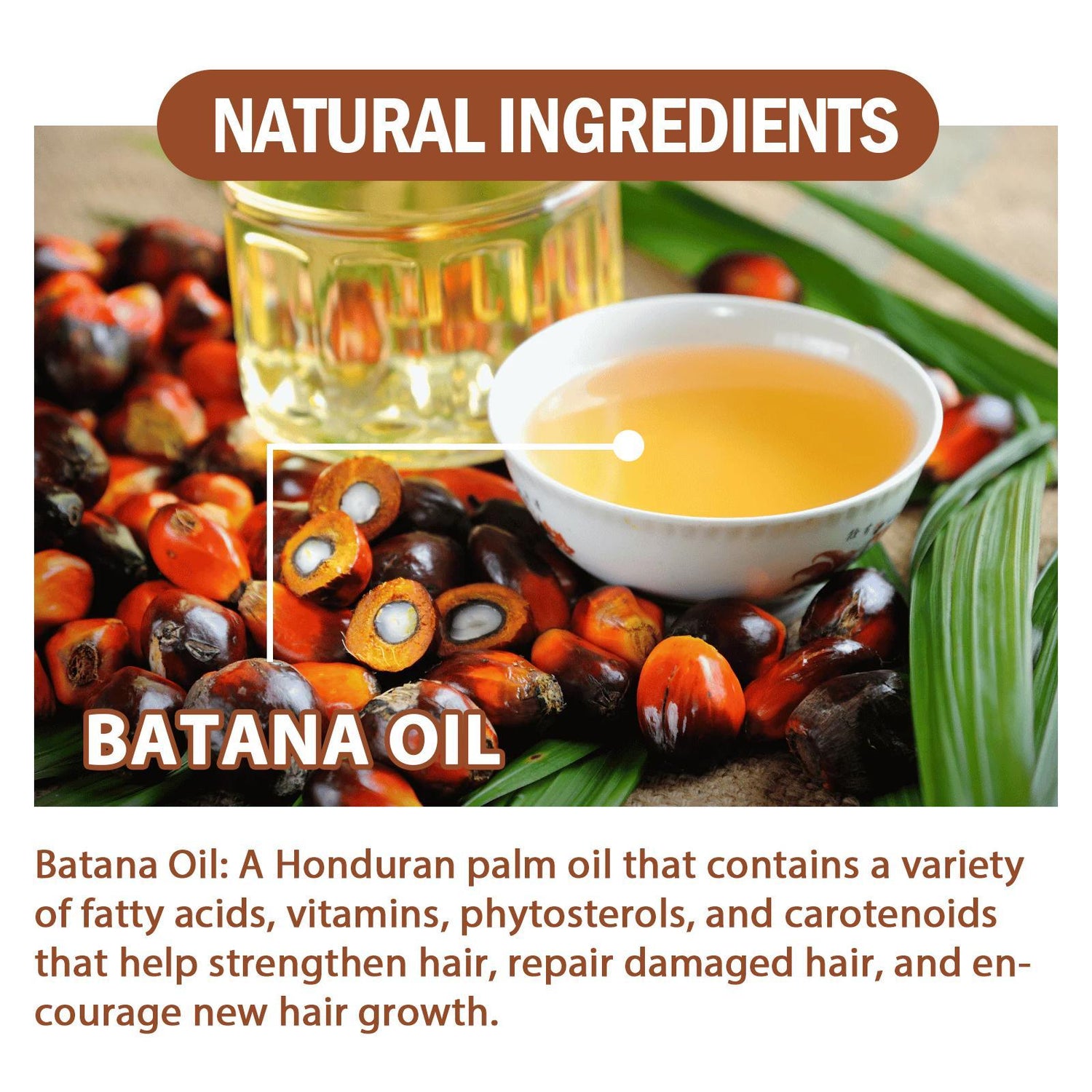 Batana Oil From Honduras - Get Fuller, Thicker, Healthier Hair - Hair Nutrition