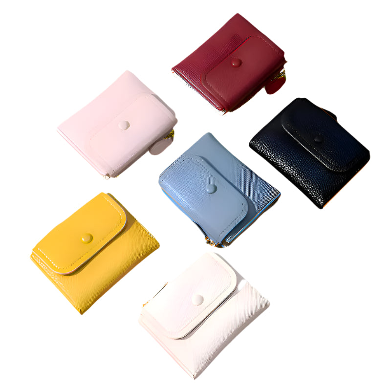 Small Multi Compartment Wallet