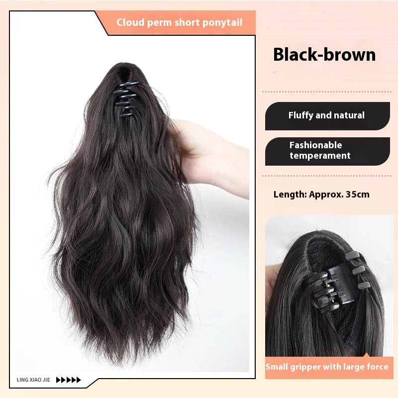 High Ponytail Long Wavy Hair Wig