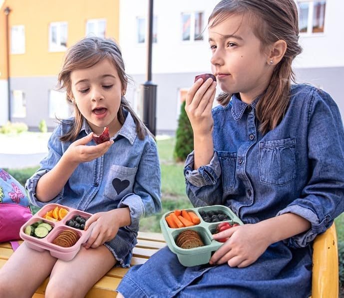 1PC Snack Containers, Divided Bento Lunch Snack Box With Transparent Lids, Reusable Meal Snack Containers For Adults 4 Compartment Food Storage Containers For People Work Travel.