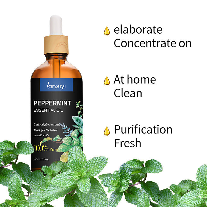 Mint Rosemary Moisturizing And Nourishing Soft Essential Oil 100ml