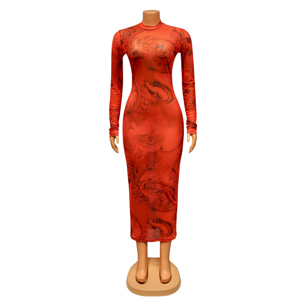 Women's Skinny Mesh Print Sheer Long Sleeve Dress