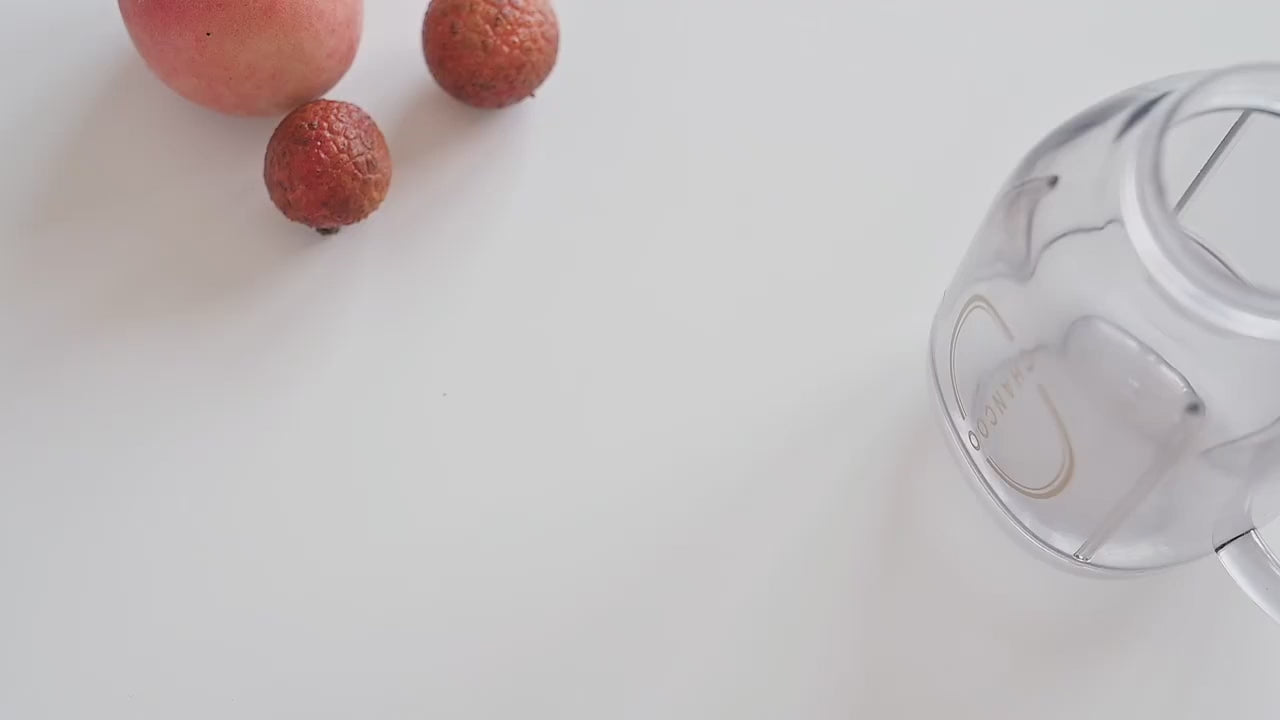 Mini Retro Juicer Food Blender